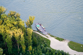 Vue aérienne de Embarcadère du ferry du Rhin du Bade-Palatinat à destination de Neuburgweier à Neuburg am Rhein dans le département Rhénanie-Palatinat, Allemagne