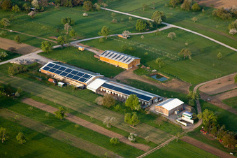 Vue aérienne de Ferme équestre Vogel à le quartier Busenbach in Waldbronn dans le département Bade-Wurtemberg, Allemagne