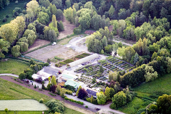 Vue aérienne de Marché aux plantes Pépinière de Bienwald (Palatinat) à Berg dans le département Rhénanie-Palatinat, Allemagne