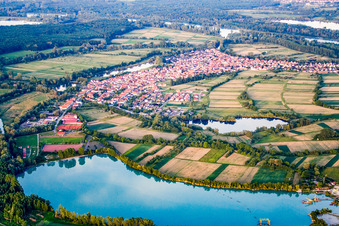 Vue aérienne de Vue du village depuis l'ouest à Epplesee à Neuburg am Rhein dans le département Rhénanie-Palatinat, Allemagne