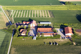 Vue aérienne de Schossberghof à Minfeld dans le département Rhénanie-Palatinat, Allemagne