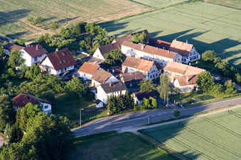 Vue oblique de Champs agricoles et terres agricoles à Minfeld dans le département Rhénanie-Palatinat, Allemagne
