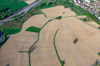 Vue aérienne de Champs de maïs - toujours sans végétation à le quartier Maximiliansau in Wörth am Rhein dans le département Rhénanie-Palatinat, Allemagne