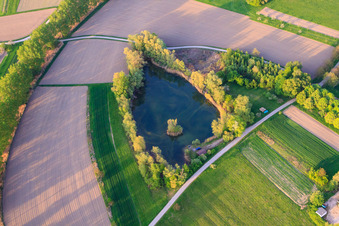Vue aérienne de Étang biotope à Au am Rhein dans le département Bade-Wurtemberg, Allemagne