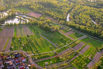 Vue aérienne de Arbres fruitiers en fleurs dans les prairies du Rhin à Au am Rhein dans le département Bade-Wurtemberg, Allemagne