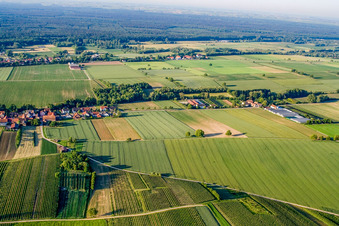 Vue aérienne de Village du nord à Vollmersweiler dans le département Rhénanie-Palatinat, Allemagne