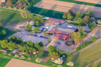 Vue aérienne de Pension pour chevaux Renz à Au am Rhein dans le département Bade-Wurtemberg, Allemagne