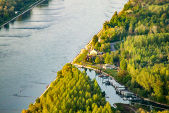 Vue aérienne de Auer Altrhein à Au am Rhein dans le département Bade-Wurtemberg, Allemagne