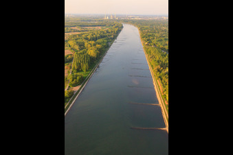 Vue aérienne de Rhin au nord à Au am Rhein dans le département Bade-Wurtemberg, Allemagne