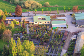 Photographie aérienne de Bienwald-Baumschule GbR à Berg dans le département Rhénanie-Palatinat, Allemagne