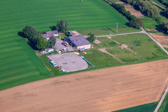 Vue aérienne de Ferme équestre Birkenhof à Impflingen dans le département Rhénanie-Palatinat, Allemagne