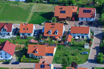 Dans le champ de pois à le quartier Mörzheim in Landau in der Pfalz dans le département Rhénanie-Palatinat, Allemagne d'en haut