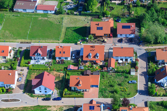 Dans le champ de pois à le quartier Mörzheim in Landau in der Pfalz dans le département Rhénanie-Palatinat, Allemagne vue d'en haut