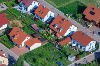 Enregistrement par drone de Dans le champ de pois à le quartier Mörzheim in Landau in der Pfalz dans le département Rhénanie-Palatinat, Allemagne