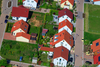 Dans le champ de pois à le quartier Mörzheim in Landau in der Pfalz dans le département Rhénanie-Palatinat, Allemagne du point de vue du drone