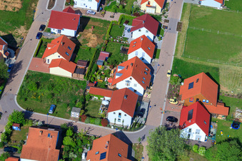 Dans le champ de pois à le quartier Mörzheim in Landau in der Pfalz dans le département Rhénanie-Palatinat, Allemagne d'un drone