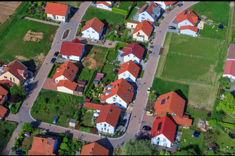 Dans le champ de pois à le quartier Mörzheim in Landau in der Pfalz dans le département Rhénanie-Palatinat, Allemagne vu d'un drone