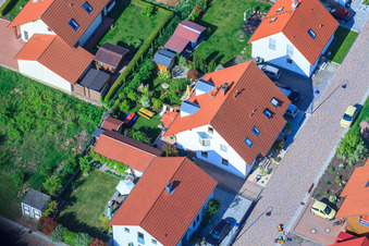Vue aérienne de Dans le champ de pois à le quartier Mörzheim in Landau in der Pfalz dans le département Rhénanie-Palatinat, Allemagne