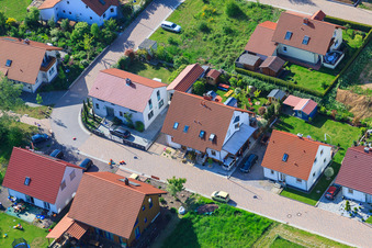 Dans le champ de pois à le quartier Mörzheim in Landau in der Pfalz dans le département Rhénanie-Palatinat, Allemagne vue d'en haut
