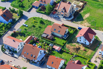 Dans le champ de pois à le quartier Mörzheim in Landau in der Pfalz dans le département Rhénanie-Palatinat, Allemagne vue du ciel