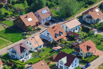 Dans le champ de pois à le quartier Mörzheim in Landau in der Pfalz dans le département Rhénanie-Palatinat, Allemagne du point de vue du drone
