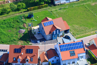Vue oblique de Dans le champ de pois à le quartier Mörzheim in Landau in der Pfalz dans le département Rhénanie-Palatinat, Allemagne