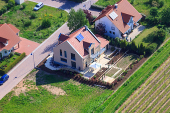 Dans le champ de pois à le quartier Mörzheim in Landau in der Pfalz dans le département Rhénanie-Palatinat, Allemagne d'en haut