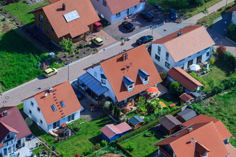 Dans le champ de pois à le quartier Mörzheim in Landau in der Pfalz dans le département Rhénanie-Palatinat, Allemagne depuis l'avion