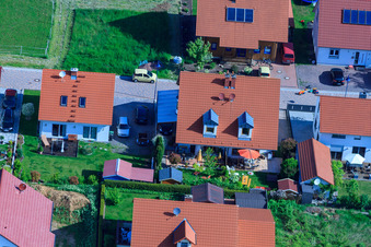 Dans le champ de pois à le quartier Mörzheim in Landau in der Pfalz dans le département Rhénanie-Palatinat, Allemagne vue du ciel
