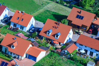 Enregistrement par drone de Dans le champ de pois à le quartier Mörzheim in Landau in der Pfalz dans le département Rhénanie-Palatinat, Allemagne