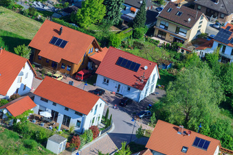 Image drone de Dans le champ de pois à le quartier Mörzheim in Landau in der Pfalz dans le département Rhénanie-Palatinat, Allemagne