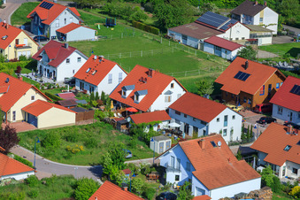 Dans le champ de pois à le quartier Mörzheim in Landau in der Pfalz dans le département Rhénanie-Palatinat, Allemagne du point de vue du drone