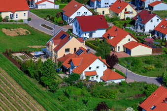 Dans le champ de pois à le quartier Mörzheim in Landau in der Pfalz dans le département Rhénanie-Palatinat, Allemagne d'un drone