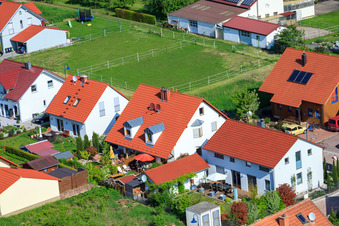 Dans le champ de pois à le quartier Mörzheim in Landau in der Pfalz dans le département Rhénanie-Palatinat, Allemagne vu d'un drone