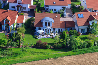 Vue oblique de Dans le champ de pois à le quartier Mörzheim in Landau in der Pfalz dans le département Rhénanie-Palatinat, Allemagne