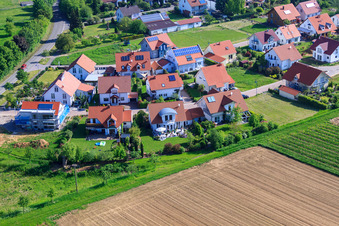 Dans le champ de pois à le quartier Mörzheim in Landau in der Pfalz dans le département Rhénanie-Palatinat, Allemagne d'en haut