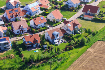 Enregistrement par drone de Dans le champ de pois à le quartier Mörzheim in Landau in der Pfalz dans le département Rhénanie-Palatinat, Allemagne