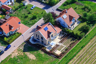 Vue d'oiseau de Dans le champ de pois à le quartier Mörzheim in Landau in der Pfalz dans le département Rhénanie-Palatinat, Allemagne