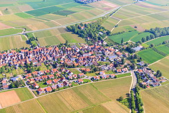 Vue aérienne de Vue du village depuis le sud-est à le quartier Wollmesheim in Landau in der Pfalz dans le département Rhénanie-Palatinat, Allemagne