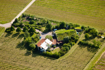 Vue aérienne de Domaine viticole Bioland Marzolph à le quartier Wollmesheim in Landau in der Pfalz dans le département Rhénanie-Palatinat, Allemagne