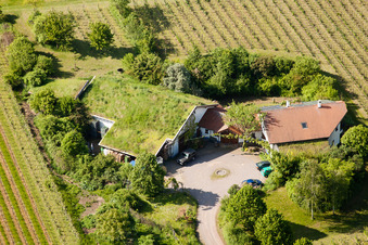 Vue aérienne de Vignoble Bioland sous le toit en herbe du domaine Marzolph à le quartier Wollmesheim in Landau in der Pfalz dans le département Rhénanie-Palatinat, Allemagne