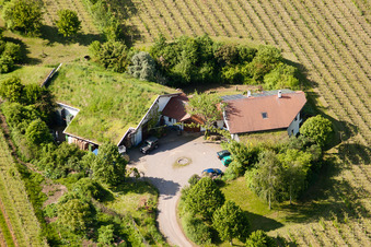 Photographie aérienne de Vignoble Bioland sous le toit en herbe du domaine Marzolph à le quartier Wollmesheim in Landau in der Pfalz dans le département Rhénanie-Palatinat, Allemagne