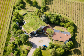 Vignoble Bioland sous le toit en herbe du domaine Marzolph à le quartier Wollmesheim in Landau in der Pfalz dans le département Rhénanie-Palatinat, Allemagne d'en haut
