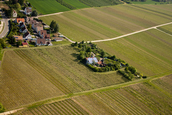 Vignoble Bioland sous le toit en herbe du domaine Marzolph à le quartier Wollmesheim in Landau in der Pfalz dans le département Rhénanie-Palatinat, Allemagne hors des airs