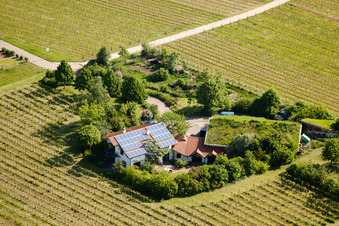 Vignoble Bioland sous le toit en herbe du domaine Marzolph à le quartier Wollmesheim in Landau in der Pfalz dans le département Rhénanie-Palatinat, Allemagne vue d'en haut