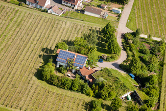 Vignoble Bioland sous le toit en herbe du domaine Marzolph à le quartier Wollmesheim in Landau in der Pfalz dans le département Rhénanie-Palatinat, Allemagne depuis l'avion