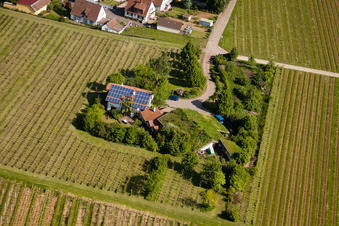 Vue d'oiseau de Vignoble Bioland sous le toit en herbe du domaine Marzolph à le quartier Wollmesheim in Landau in der Pfalz dans le département Rhénanie-Palatinat, Allemagne