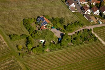 Vignoble Bioland sous le toit en herbe du domaine Marzolph à le quartier Wollmesheim in Landau in der Pfalz dans le département Rhénanie-Palatinat, Allemagne vue du ciel