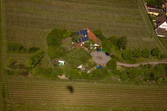 Image drone de Vignoble Bioland sous le toit en herbe du domaine Marzolph à le quartier Wollmesheim in Landau in der Pfalz dans le département Rhénanie-Palatinat, Allemagne
