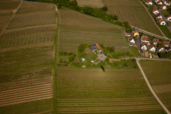 Vignoble Bioland sous le toit en herbe du domaine Marzolph à le quartier Wollmesheim in Landau in der Pfalz dans le département Rhénanie-Palatinat, Allemagne du point de vue du drone